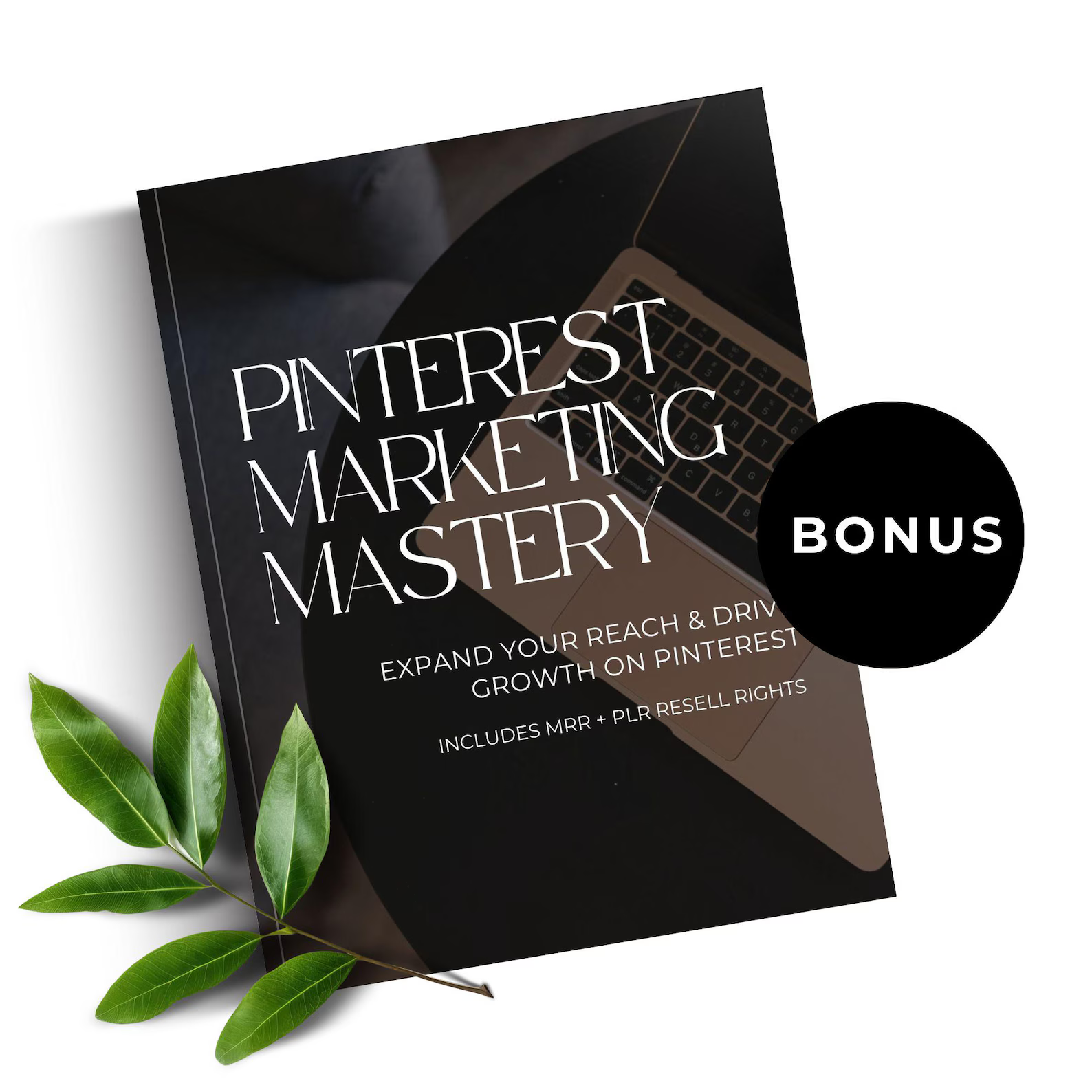 Millionaire Mindset Mastery | 17 PLR Canva eBooks | Wealth Success Coaching Templates - Hyeon-PLR